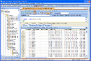Windows Azure