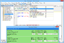 Execute Query Window_Full.png